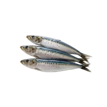 Sardines – Riverina Seafood Market